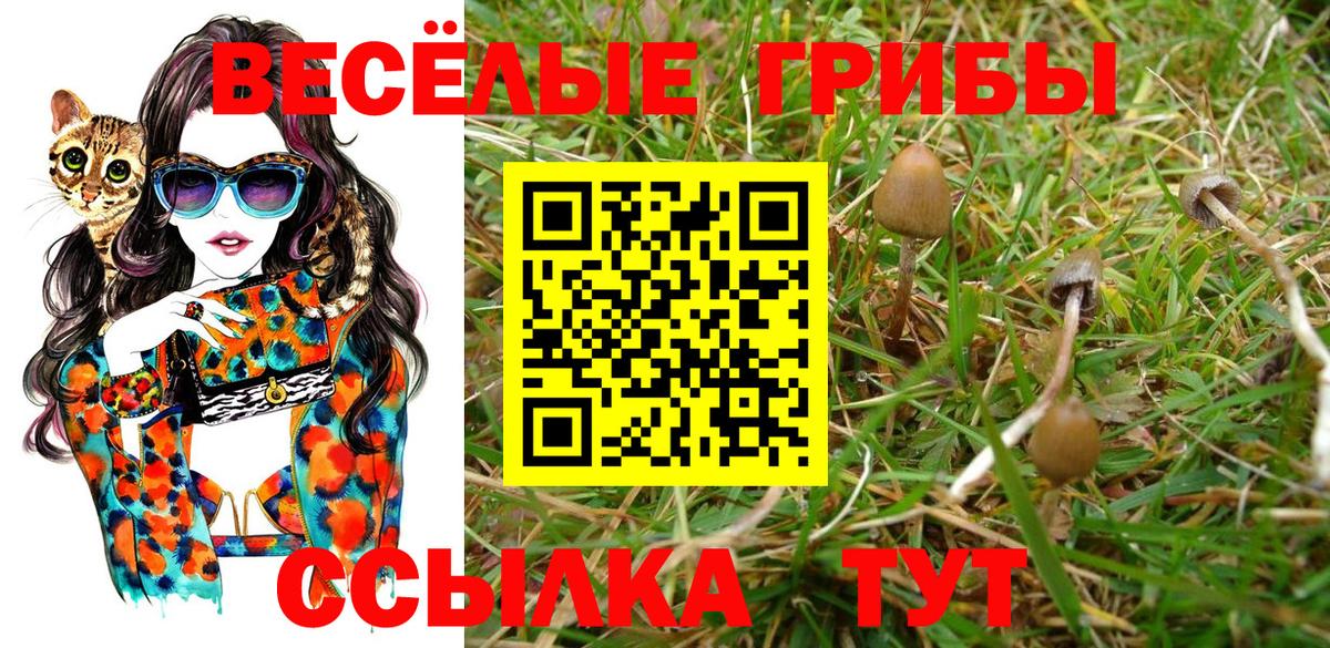 Галлюциногенные грибы мухоморы Аргун