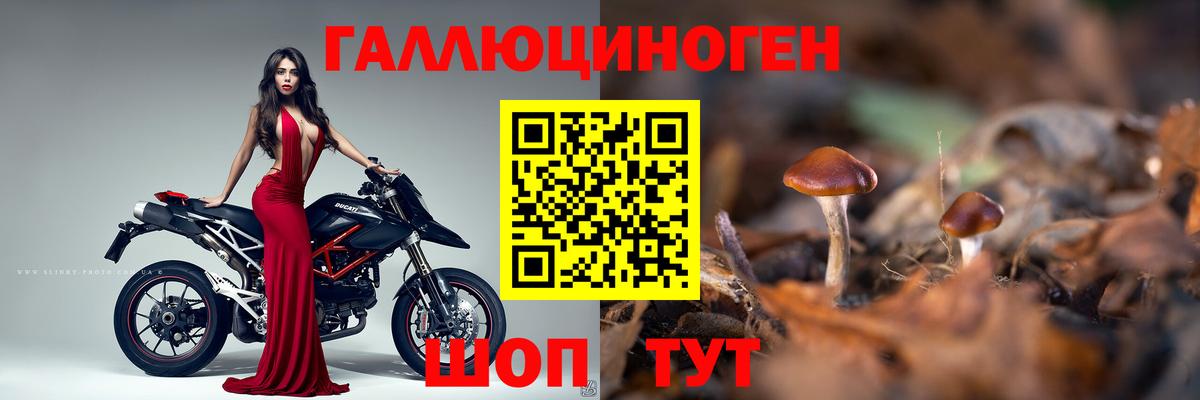 Галлюциногенные грибы Psilocybe  Галлюциногенные грибы Magic Shrooms  Вход с VPN  Аргун 